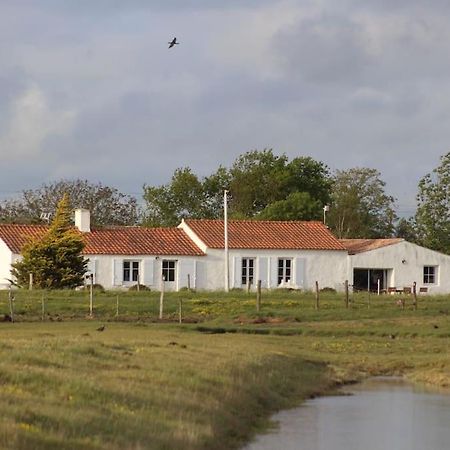 Maison De Charme Au Coeur Des Marais Pour 6 Pers. Bouin  Luaran gambar