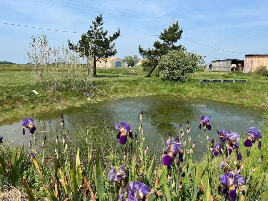 Maison De Charme Au Coeur Des Marais Pour 6 Pers. Bouin  Luaran gambar