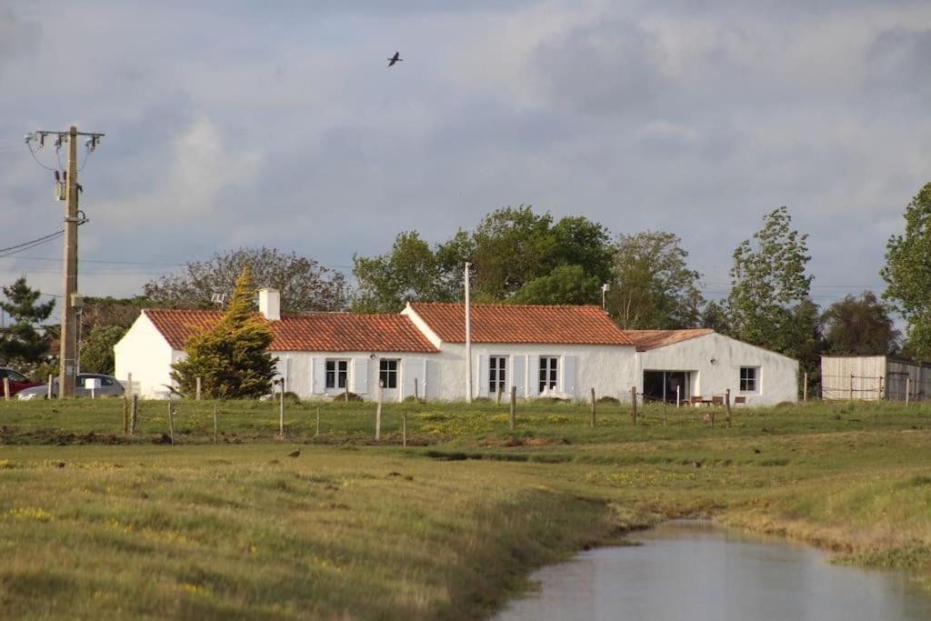 Maison De Charme Au Coeur Des Marais Pour 6 Pers. Bouin  Luaran gambar